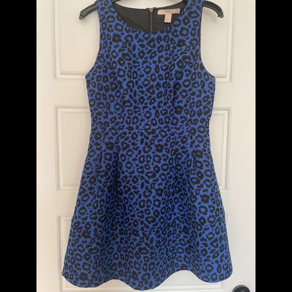 Forever 21 - Blue Leopard Print Cocktail Dress